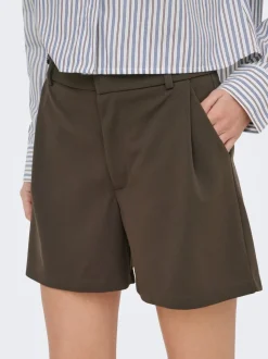 JDYGEGGO Normal passform Shorts