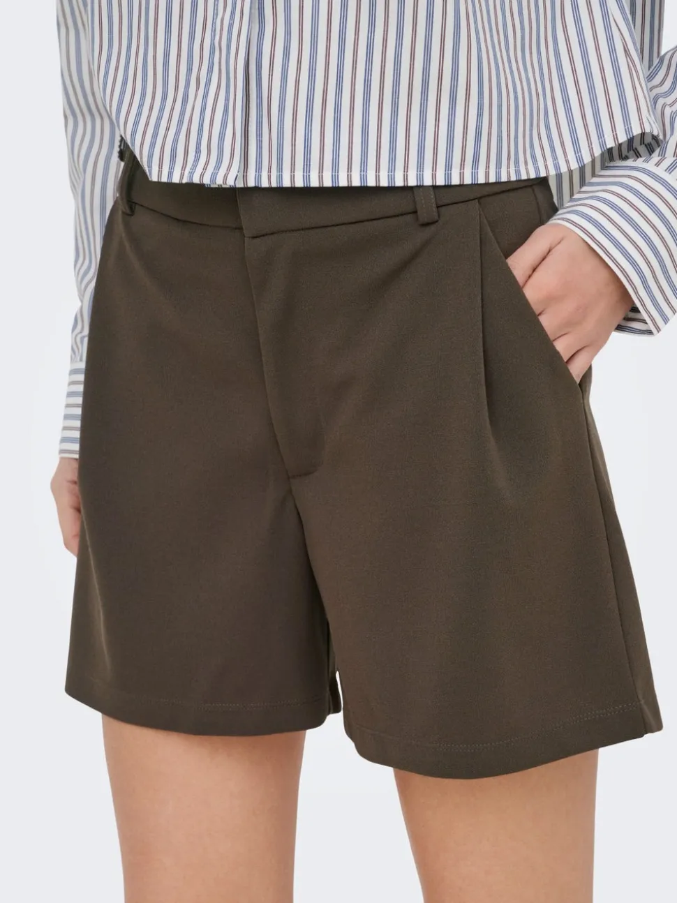 JDYGEGGO Normal passform Shorts