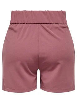 JDYGEGGO Normal passform Shorts