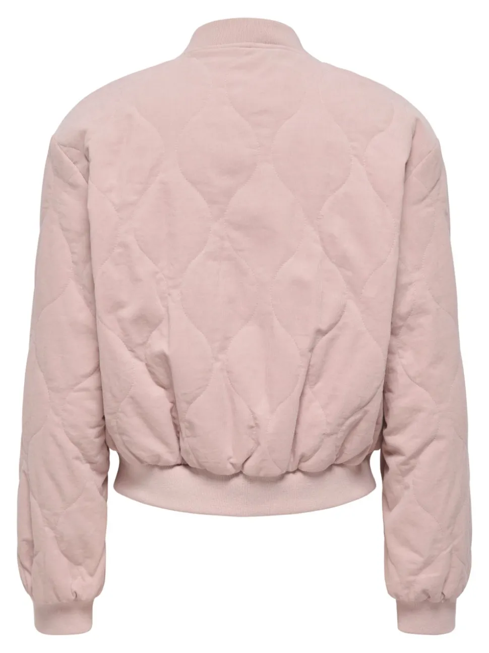 ONLSAP Bomberjacka