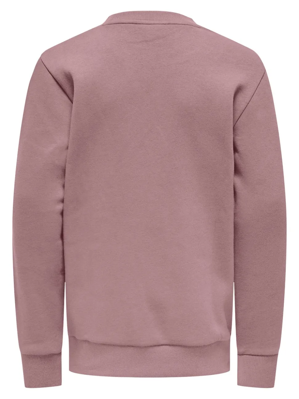 OSJCERES Sweatshirt