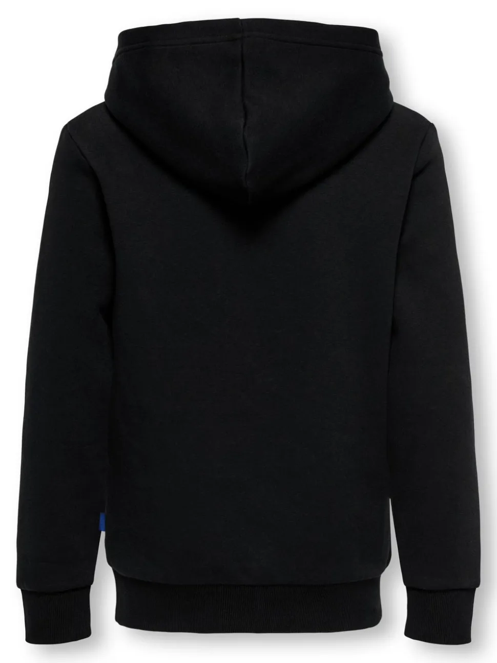 OSJCERES Sweatshirt